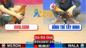 Trận 16 CPC1 10/7/2025 - GVUI.COM Và Anh Bình Trí Tây Ninh