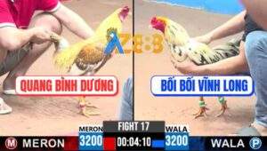 Trận 17 CPC3 8/7/2025 - Bướm Bối Bối Bị Đâm Đi Không Nổi