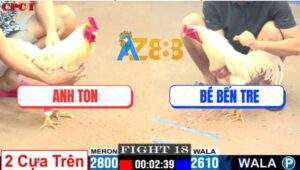 Trận 18 CPC1 3/7/2025 - Bướm Hiệu Anh Bé Bến Tre Nhỏ Mà Đá Cựa Tàn Bạo