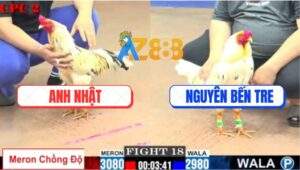 Trận 18 CPC2 11/7/2025 - Bướm Hiệu Anh Nguyên Đá Bo Như Trời Giáng