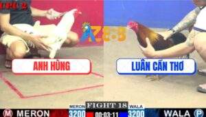 Trận 18 CPC2 4/7/2025 - Bướm Hiệu Anh Hùng Đâm Cựa Như Chỉa