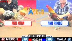 Trận 19 CPC1 3/7/2025 - Gà Điều Anh Phong Mai Độ Cứu Chủ Phút 90