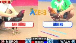 Trận 2 CPC2 2/7/2025 - Anh Nu Học Theo Ông Hoàng Wala Và Cái Kết