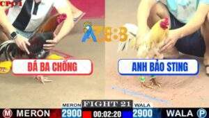 Trận 21 CPC1 7/7/2025 - Bướm Hiệu Bảo Sting Tiếp Tục Đưa Anh Em Ra Đảo