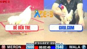 Trận 22 CPC1 3/7/2025 - Bướm Hiệu GVUI Quá Đen Đang Thắng Thành Bại