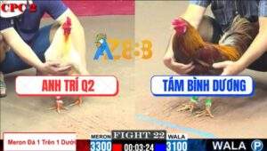 Trận 22 CPC2 23/7/2025 - Khét Anh Tám Mắt Đảo Láo Liên Tìm Đường Chạy