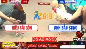 Trận 23 CPC2 27/7/2025 - Điều Đá 3 Chân Bướm Hiệu Bảo Sting Gãy Giò