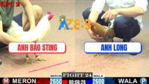 Trận 24 CPC2 16/7/2025 - Cú Anh Long Tóm Gọn Úa Bảo Sting Nhanh Gọn Lẹ