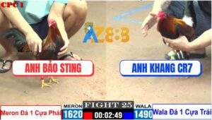 Trận 25 CPC1 7/7/2025 - Anh Bảo Sting Rớt Nài Trong Kèo 1 Trái, 1 Phải