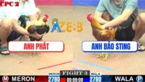 Trận 3 CPC2 20/7/2025 - Gà Chuối Đâm Khét Nhập Anh Bảo Sting Tốc Chạy