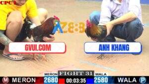 Trận 31 CPC1 24/7/2025 - GVUI.COM Và Anh Khang Cân Tài Cân Sức