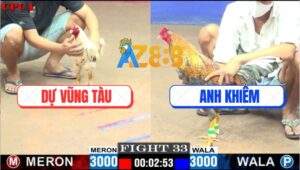 Trận 33 CPC1 28/7/2025 - Bướm Anh Dự Vũng Tàu Đá Gà Cú Khỏi Tha Lơ