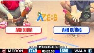 Trận 4 CPC1 28/7/2025 - Gà Anh Cường Ra Đòn Lia Lịa Khiến Que Tắt Thở