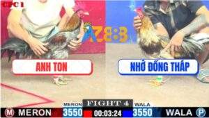 Trận 4 CPC1 3/7/2025 - Xám Cọp Anh Ton Đầu Đổ Máu Vẫn Đá Đối Thủ Chạy