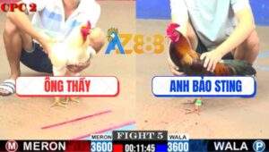 Trận 5 CPC2 9/7/2025 - Gà Úa Ông Thầy Có Chân Xạo Lờ Hạ Điều Bảo Sting