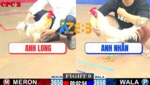 Trận 9 CPC2 30/7/2025 - Đám Bướm Hiệu Anh Long 4G Đâm Cựa Quá Tịch