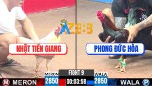 Trận 9 CPC3 26/7/2025 - Bướm Hiệu Bảo Sting Đá Phát Nào Nổ Phát Đó