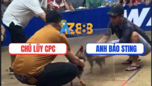 Trận 12 Bồ Gà TonHon 27/8/2025 - Anh Bảo Sting Và Chú Lũy Campuchia