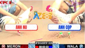 Trận 12 CPC2 6/8/2025 - Gà Úa Anh Nu Rút Rè Nằm Gọn Chỉ Sau 3 Đá