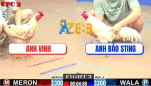 Trận 3 CPC2 1/8/2025 - Bướm Anh Vinh Bú Gà Úa Bảo Sting Đứng Không Nổi