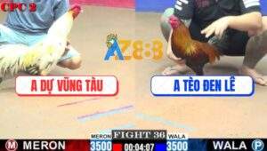 Trận 36 CPC2 3/8/2025 - Anh Tèo Đen Phục Thù Anh Dự Thành Công