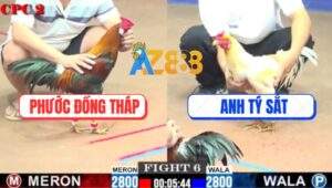 Trận 6 CPC2 3/8/2025 - Điều Cọp Anh Phước Chưa Kịp Bung Cựa Đã Nằm