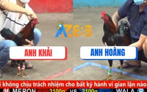 Trận 21 CPC5 Ngày 17/08/2025