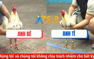 Trận 35 CPC5 Ngày 17/08/2025