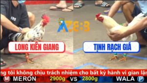Trận 19 CPC5 18/9/2025 - Gà Bướm Anh Long Sút Mấy Chân Gà Úa Bay Bồ
