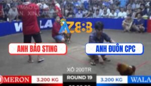 Trận 19 Bồ TonHon 27/9/2025 - Anh Bảo Sting Và Anh Đuôn Campuchia