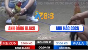 Trận 21 Bồ TonHon 27/9/2025 - Bảo Sting Thả Giùm Đá Mấy Chân Bung Chạy