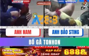 Trận 12 Bồ Tonhon 12/09/2025