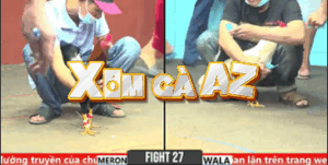 Trận 27 CPC6 31/10/2025 - Bảy Ngón Tung Hàng Khủng Ra Sân Và Cái Kết