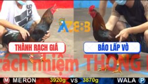 Trận 2 CPC5 22/10/2025 - Gà Anh Thành Gãy Cánh Phản Ăn 2 Quá Hay