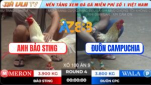 Trận 4 TonHon 18/10/2025 - Mẻ Úa Hiệu Bảo Sting Bung Chạy Khi Vô Kính
