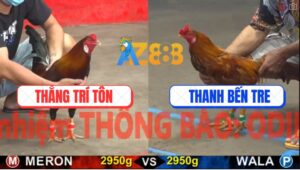 Trận 6 CPC5 17/10/2025 - Điều Tích Vôi Lùa Tăng Đầu Khét Té Khỏi Cứu