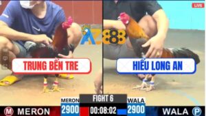 Trận 6 CPC6 15/10/2025 - Gà Anh Hiếu Long An Có Chân Xạo Lờ Cứu Chủ