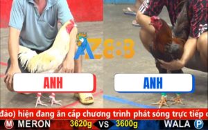 Trận 1 CPC5 05/10/2025