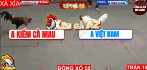 Trận 19 Bồ Hà Tiên 9/11/2025 - Kiểm Cà Mau Tung Điều Hiệu Gồng Cực Đá Quá Hay