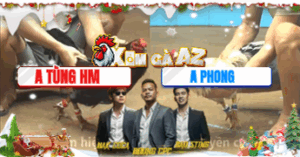 Trận 14 CPC4 24/11/2025 - Que Cọp Tùng Hóc Môn Đâm Chết Đối Thủ Tích Tắc