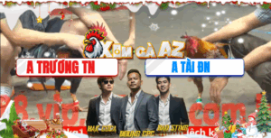 Trận 28 CPC5 25/11/2025 - Điều Cọp Trương Tây Ninh Không Khiến Anh Em Thất Vọng