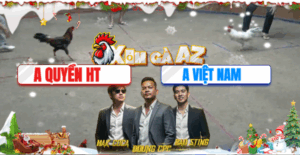 Trận 14 Bồ Hà Tiên 25/11/2025 - Cọp Xịn Chồng Độ Chấp Chủ Bồ Hơn 2 Chấm Gà