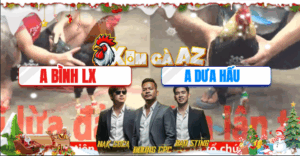 Trận 7 CPC5 26/11/2025 - Bình Long Xuyên Tiễn Dưa Hấu Đi 1 Đoạn Xa