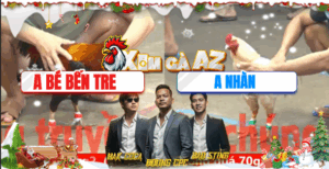 Trận 13 CPC5 19/11/2025 - Bướm Anh Nhàn Hạ Bé Bến Tre Tuyệt Đối Tại Sân Chơi