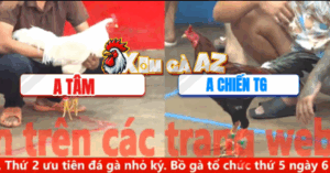 Trận 3 CPC5 6/11/2025 - A Chiến Ra Quân Trận Đầu Xổ Cả Trăm Triệu