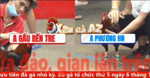 Trận 19 CPC5 6/11/2025 - Gấu Bến Tre Bất Ngờ Ra Sân Và Cái Kết