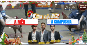 Trận 8 Bồ Hà Tiên 20/11/2025 - Anh Mễn Ôm Gà Cú Ra Đá Không Kịp Tha Lơ