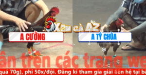 Trận 32 CPC5 6/11/2025 - Tý Chùa Chấp Khủng Lên Tới 3 Chấm Gà