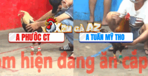 Trận 11 CPC5 7/11/2025 - Phước Cần Thơ Ôm Gà Chuối Ra Sân Và Cái Kết