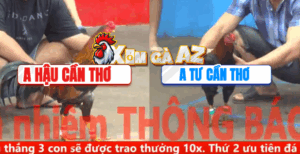 Trận 6 CPC5 8/11/2025 - Hậu Cần Thơ Tung Cọp Ra Sân Đi Bộ Cũng Đâm Dã Man